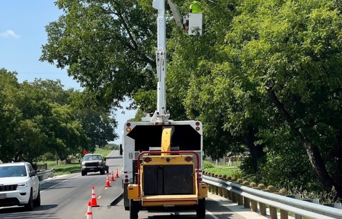 Commercial Tree Maintenance Waco TX
