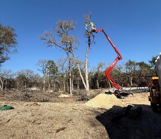 Professional Tree Removal Services Waco TX