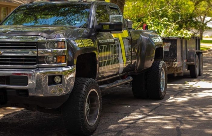 Tree Management Services Waco TX